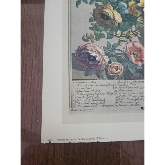 Rob Furber Gardiner Kensington 1730 Engraving by H Fletcher "May" Month Flowers - Picture 2 of 5